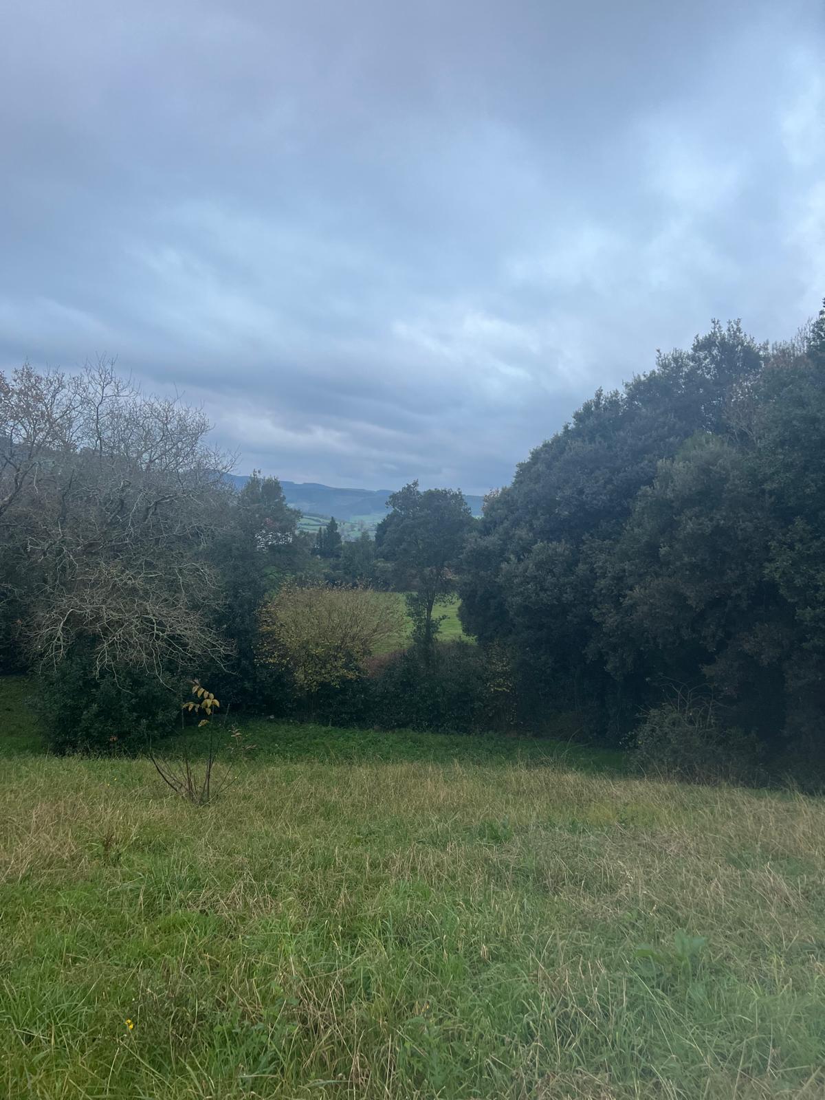 Proyecto Nueva Construcción