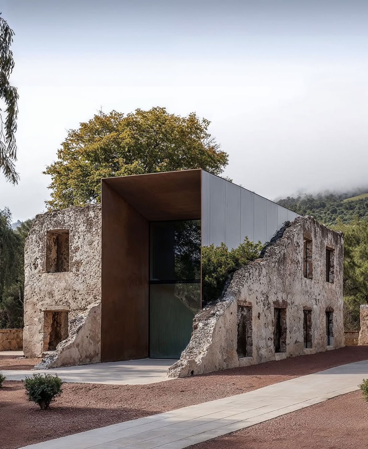 Rehabilitación Integral